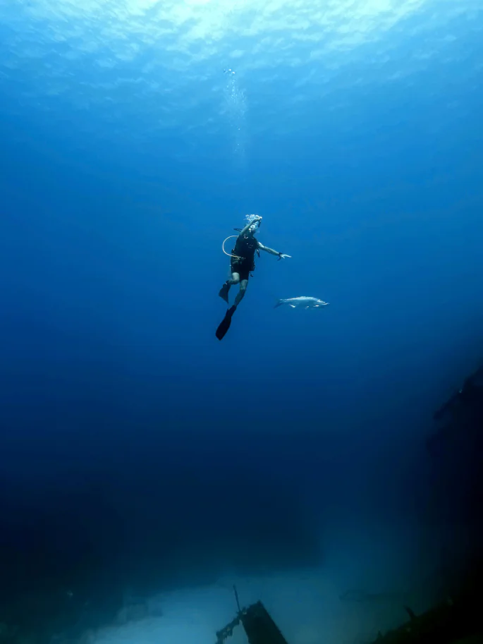 Dr. Robert Rendenz, dentist in Black Diamond, WA, at Rooted Dentistry